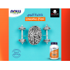 NOW DHA 500 FISH OIL DOUBLE STRENGTH BRAIN HEALTH SUPPORT 90 SOFTGELS